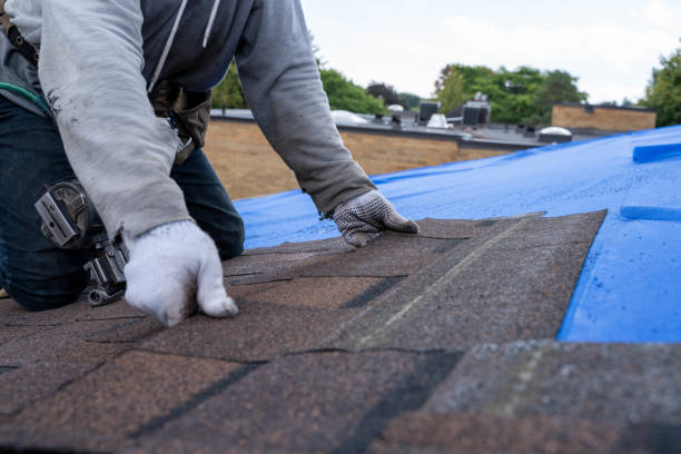 Best Storm Damage Roof Repair  in Poplar Bluff, MO