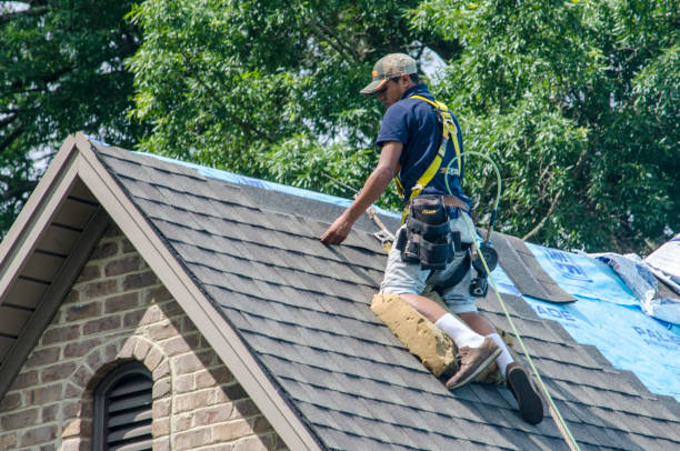 Best Commercial Roofing Services  in Poplar Bluff, MO